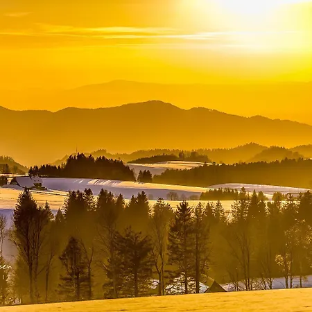 Sonnenwinkel C37 Mit Südbalkon Im Haus Feldbergblick, Lenzkirch, Innenpool, Sauna Lenzkirch