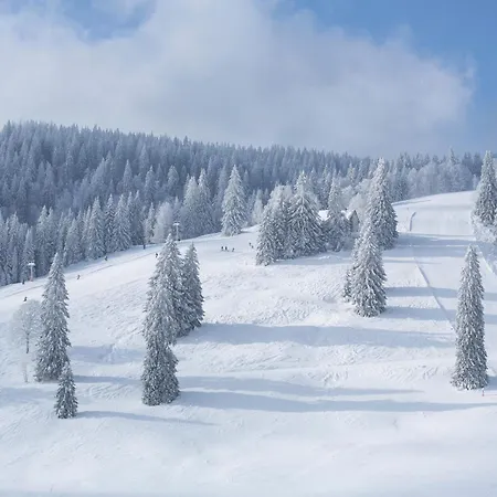 Sonnenwinkel C37 Mit Südbalkon Im Haus Feldbergblick, Lenzkirch, Innenpool, Sauna Apartamento