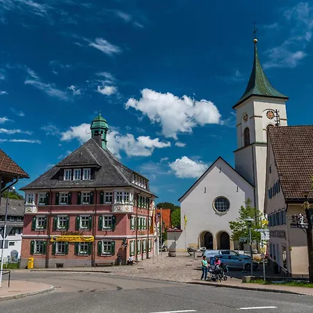 Apartamento Sonnenwinkel C37 Mit Südbalkon Im Haus Feldbergblick, Lenzkirch, Innenpool, Sauna