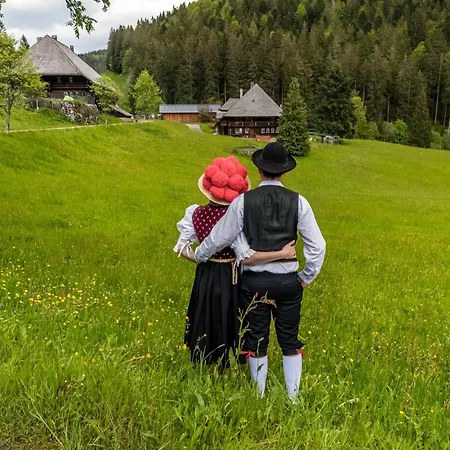 Sonnenwinkel C37 Mit Südbalkon Im Haus Feldbergblick, Lenzkirch, Innenpool, Sauna * Lenzkirch